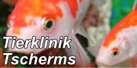 Tierklinik Tscherms